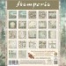 Набор бумаги односторонней для скрапбукинга Stamperia SBBXLB32 "HERBARIUM SILVAE"